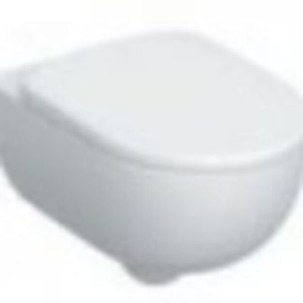 Geberit Selnova rinkinys pakabinamas WC puodas Premium,rimfree, su dangčiu soft close, balta spalva